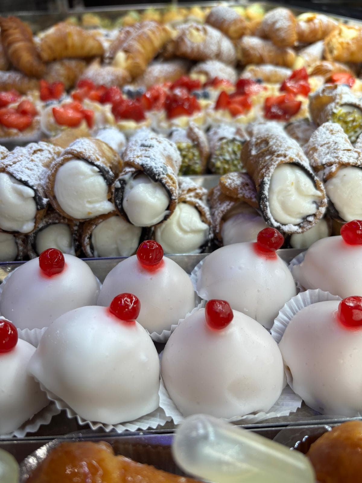 Scatto 34 dalla galleria New Pitti